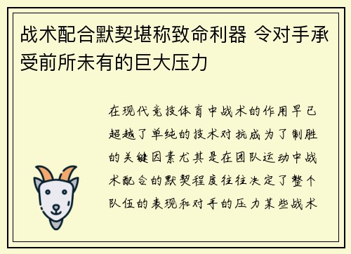 战术配合默契堪称致命利器 令对手承受前所未有的巨大压力